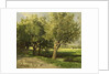 Willows by Willem Roelofs I