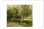 Willows by Willem Roelofs I