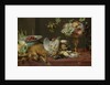 Still life with small game and fruits by Frans Snijders