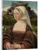 Portrait of an Unknown Woman by Jan Jansz Mostaert