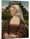 Portrait of an Unknown Woman by Jan Jansz Mostaert
