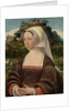 Portrait of an Unknown Woman by Jan Jansz Mostaert