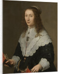 Portrait of Catharina van Well, Wife of Guilliaam van Bleyswijk by Gerard van Kuijl
