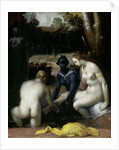 Bathsheba at her Toilet by Cornelis Cornelisz. van Haarlem