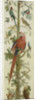 Decorative Depiction with Plants and Animals by Anonymous