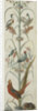 Decorative Depiction with Plants and Animals by Anonymous
