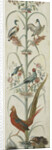 Decorative Depiction with Plants and Animals by Anonymous