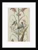 Decorative Depiction with Plants and Animals by Anonymous