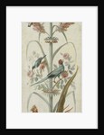 Decorative Depiction with Plants and Animals by Anonymous
