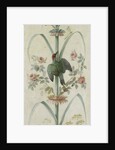 Decorative Depiction with Plants and Animals by Anonymous