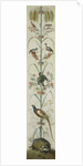 Decorative Depiction with Plants and Animals by Anonymous