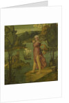 Woman Standing at Water's Edge, formerly entitled Ariadne on Naxos by Girolamo dai Libri