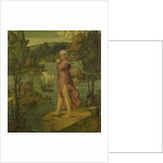 Woman Standing at Water's Edge, formerly entitled Ariadne on Naxos by Girolamo dai Libri