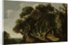 Wooded Landscape by Jacob Jacobsz van Geel