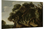 Wooded Landscape by Jacob Jacobsz van Geel