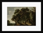 Wooded Landscape by Jacob Jacobsz van Geel