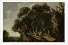 Wooded Landscape by Jacob Jacobsz van Geel