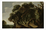 Wooded Landscape by Jacob Jacobsz van Geel