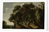 Wooded Landscape by Jacob Jacobsz van Geel