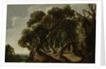 Wooded Landscape by Jacob Jacobsz van Geel