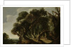 Wooded Landscape by Jacob Jacobsz van Geel