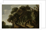 Wooded Landscape by Jacob Jacobsz van Geel