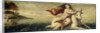 Rape of Europa by Anonymous