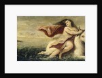 Rape of Europa by Anonymous