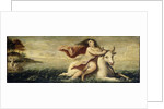 Rape of Europa by Anonymous