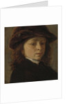 Portrait of a boy by Adriaen van Ostade