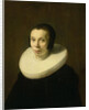Portrait of a Woman by Abraham de Vries