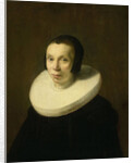 Portrait of a Woman by Abraham de Vries