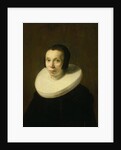 Portrait of a Woman by Abraham de Vries