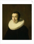 Portrait of a Woman by Abraham de Vries