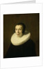 Portrait of a Woman by Abraham de Vries