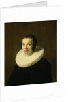 Portrait of a Woman by Abraham de Vries