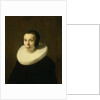 Portrait of a Woman by Abraham de Vries