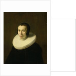Portrait of a Woman by Abraham de Vries
