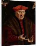 Portrait of Erard de la Marck by Jan Cornelisz Vermeyen