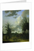 Plantation in Suriname by Dirk Valkenburg