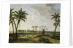 View of the coffee plantation 'Meerzorg' at the Taparoepikanaal in Suriname, Willem de Klerk by Alexander Ludwich Broekmann