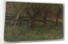 Orchard by Geo Poggenbeek