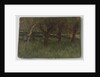 Orchard by Geo Poggenbeek
