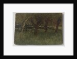 Orchard by Geo Poggenbeek
