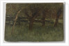 Orchard by Geo Poggenbeek