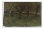 Orchard by Geo Poggenbeek