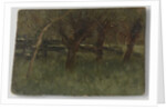 Orchard by Geo Poggenbeek