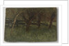 Orchard by Geo Poggenbeek