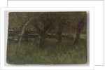 Orchard by Geo Poggenbeek