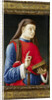 Saint Cosmas, or Damian by Bartolommeo Vivarini